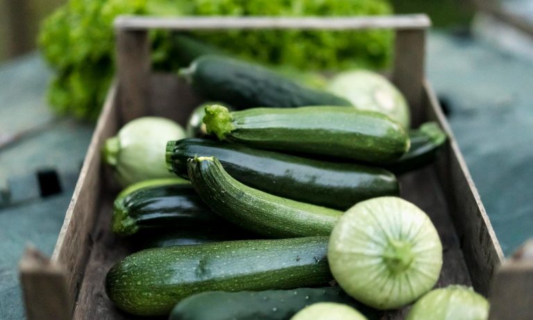Veel beter dan in de koelkast: courgettes blijven 3 maanden goed als je ze hier bewaart