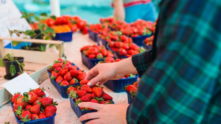 Aardbeien als reden voor ontslag: waarom een Lidl-medewerker moest vertrekken