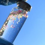 Microplastics in alledaagse dranken: onderzoek onthult hogere niveaus dan geschat