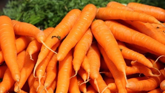 De 1 centimeterregel – en de wortelen blijven vers tot de volgende lente: de truc van mijn grootvader werkt ‘als een toverspreuk’