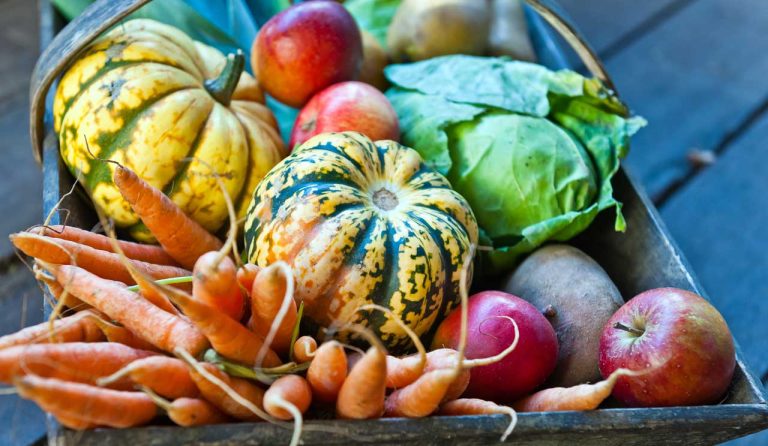 Genoeg met tomaten en courgettes”, voedingsdeskundige geeft aan welke seizoensgroenten je in oktober moet kopen