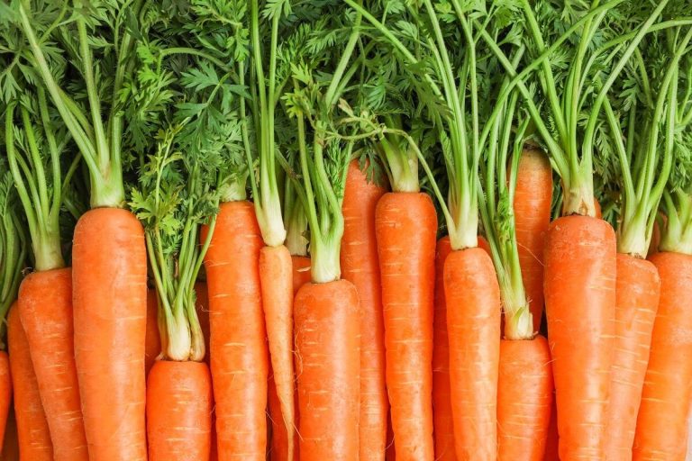 Wat zijn de geneeskrachtige eigenschappen van wortelen?