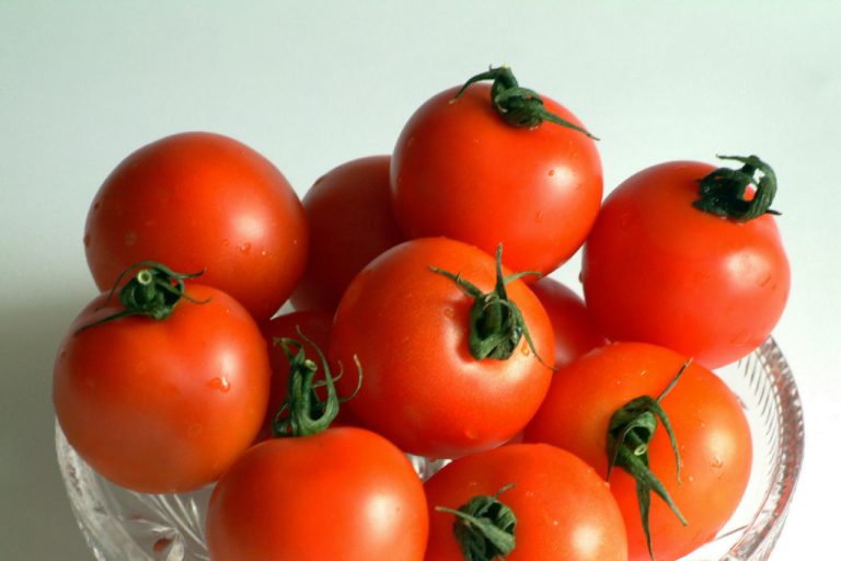 Zijn uw laatste tomaten smakeloos? Deze handeling van een groenteteler volstaat om hun smaak in een oogwenk te doen herleven