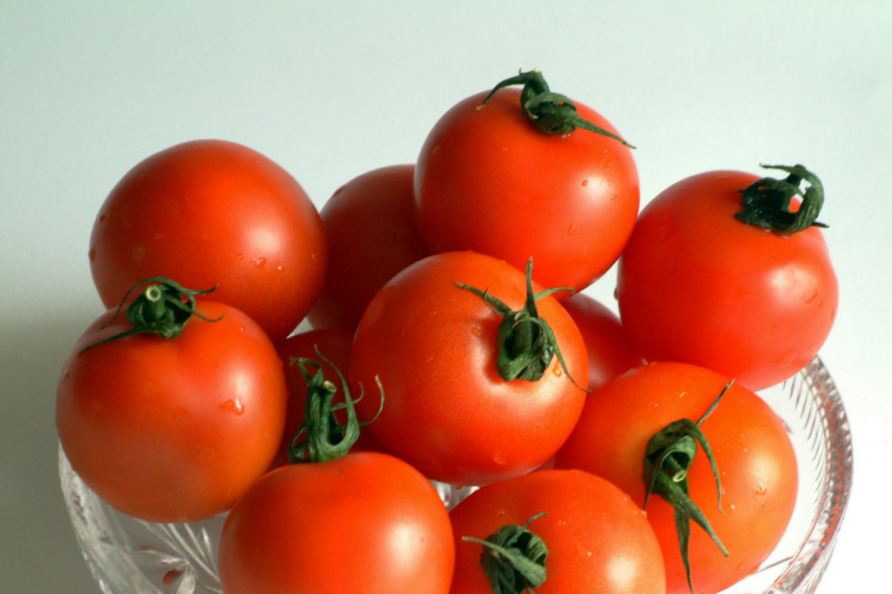 tomaten