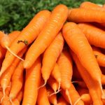 De 1 centimeterregel – en de wortelen blijven vers tot de volgende lente: de truc van mijn grootvader werkt ‘als een toverspreuk’