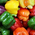 Paprika is niet altijd hetzelfde. Paweł Loroch legt de nuances van paprika uit en geeft advies over wat te doen als we te veel pit toevoegen.