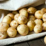 Aardappelen alsof ze net geoogst zijn: zo vertraag je het kiemen en verschrompelen