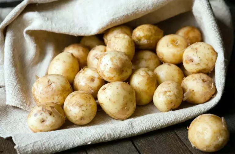 Aardappelen alsof ze net geoogst zijn: zo vertraag je het kiemen en verschrompelen